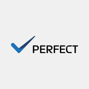 Perfect car detailing logo icona